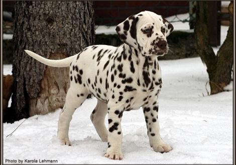 Christi ORMOND Goddess of Victory