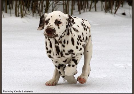 Christi ORMOND Goddess of Victory