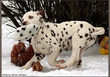 Christi ORMOND Gentle Voice