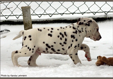 Christi ORMOND Gentle Voice