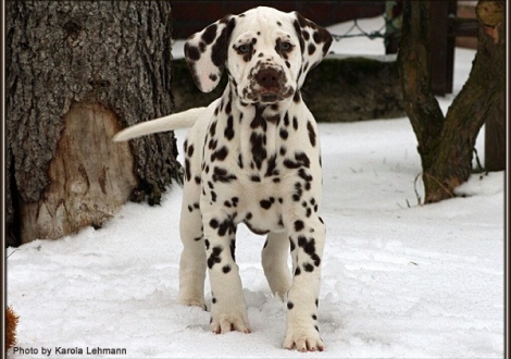 Christi ORMOND Goddess of Victory