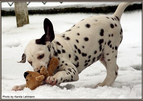 Christi ORMOND Golden Silence