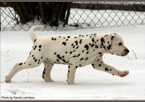 Christi ORMOND Gentle Voice