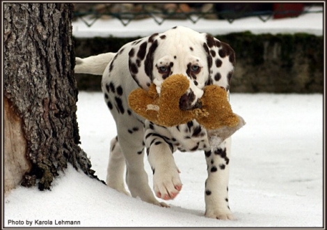 Christi ORMOND Goddess of Victory