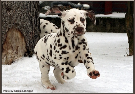 Christi ORMOND Goddess of Victory