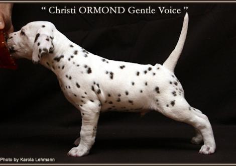 Christi ORMOND Gentle Voice