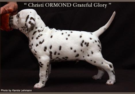 Christi ORMOND Grateful Glory