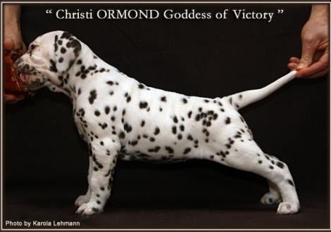 Christi ORMOND Goddess of Victory