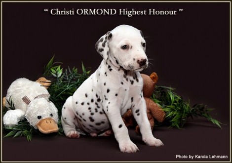 Christi ORMOND Highest Honour