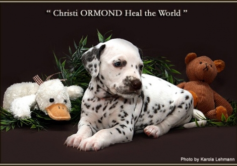 Christi ORMOND Heal the World