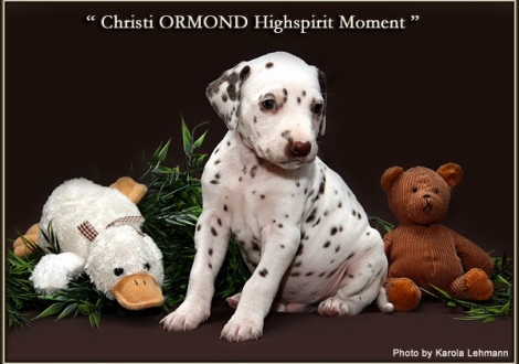 Christi ORMOND Highspirit Moment