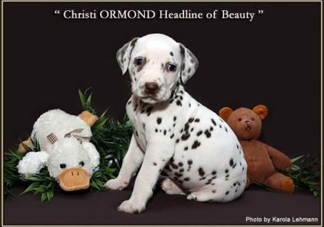 Christi ORMOND Headline of Beauty