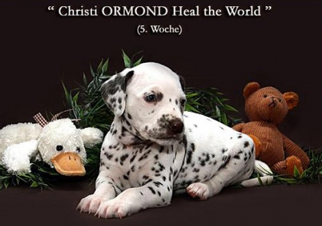 Christi ORMOND Heal the World