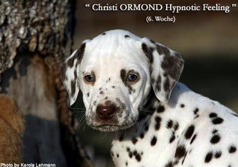 Christi ORMOND Hypnotic Feeling