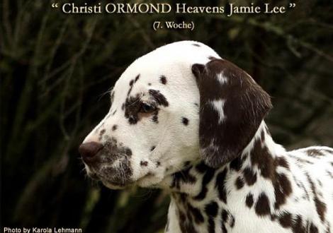 Christi ORMOND Heavens Jamie Lee