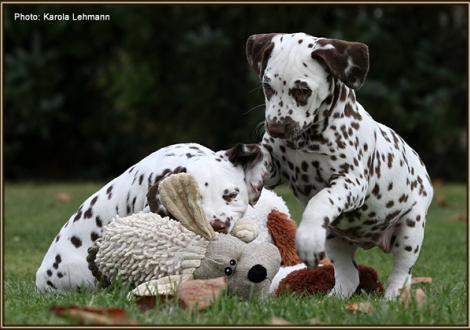 links Christi ORMOND Jar of Joy und rechts Christi ORMOND Just A Miracle