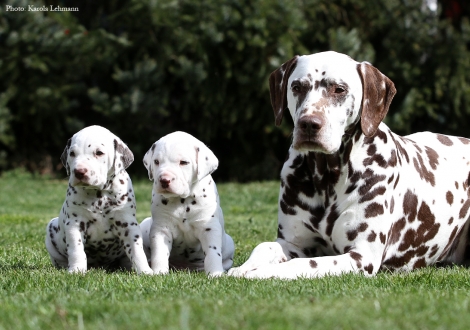 The Twins Christi ORMOND Octavius Gaius and Christi ORMOND Optimus Prime with their grandpa Christi ORMOND Coppola