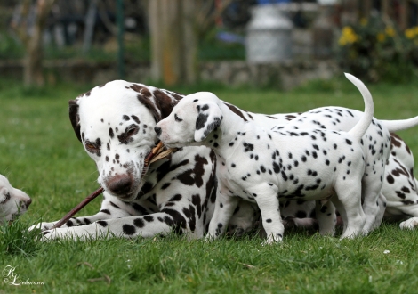 Mother Christi ORMOND First Fairytale and Christi ORMOND Read my Mind