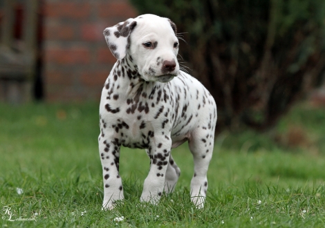 Christi ORMOND Rhythm and Blues