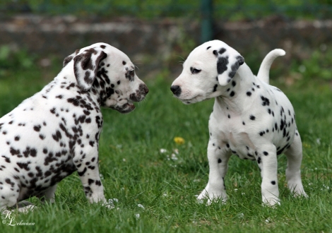 Christi ORMOND Release Me and Christi ORMOND Read my Mind