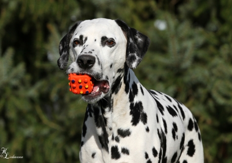 Mutter Christi ORMOND Journey To Adventure