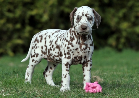 Christi ORMOND Quest for Happiness