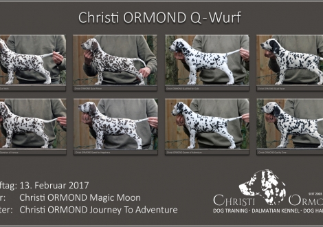 Standfotos Christi ORMOND Q - Wurf