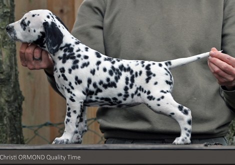 Christi ORMOND Quality Time | Hündin