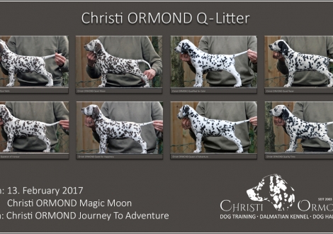 Stand Photos Christi ORMOND Q - Litter