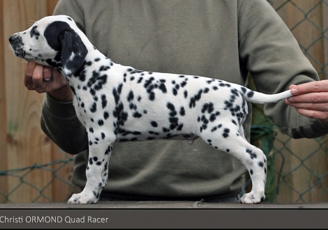 Christi ORMOND Quad Racer | male