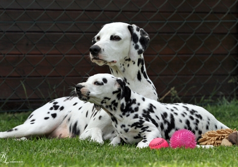 Christi ORMOND Tinkerbell mit ihrer Mutter Christi ORMOND Incredible Fairyland