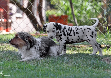 Christi ORMOND Tinkerbell with her friend Kira