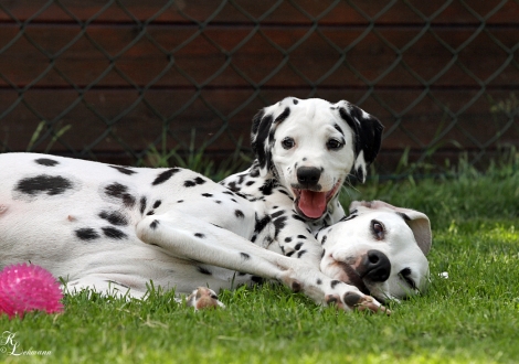 Christi ORMOND Tinkerbell with her mother Christi ORMOND Incredible Fairyland