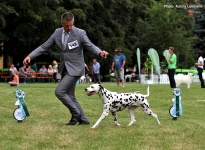  International Dog Show in Brno - Czech Republic