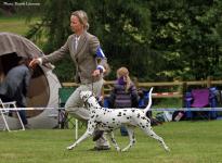 International Dog Show in Offenburg - Germany