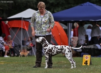 Regional Group Dog Show in Voehringen - Germany