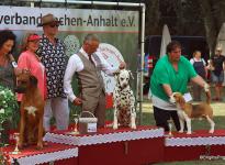 2. National-All Breeds-Meeting Schloß Meisdorf