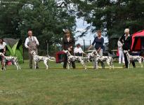 Gemeinschafts-Rassehunde-Ausstellung in Strausberg