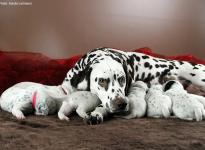 Photo and Video Impressions of 2nd week Christi ORMOND N - Litter
