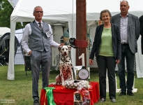 Pfingstfestival in Krosigk 2024 - Germany