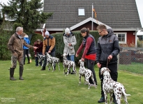 Photo Impressions 19. Dog Handling Seminar