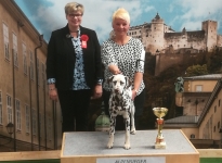 International Dog Show in Salzburg - Austria