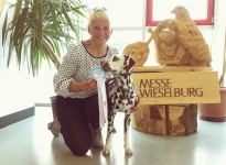 Internationale Rassehunde Ausstellung in Wieselburg - Österreich