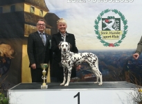 International Dog Show in Graz- Austria