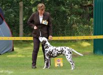 All Breeds Dog Show in Strausberg - Germany