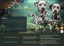 Deckung Christi ORMOND Zest for Life