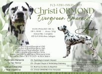 Deckung Christi ORMOND Evergreen Emerald