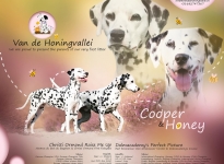 Deckung Christi ORMOND Raise me Up