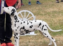 Kara Diamante de Salmeron