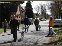 Techniques while going for a walk